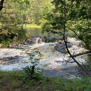 Meet your Posher, Rochelle